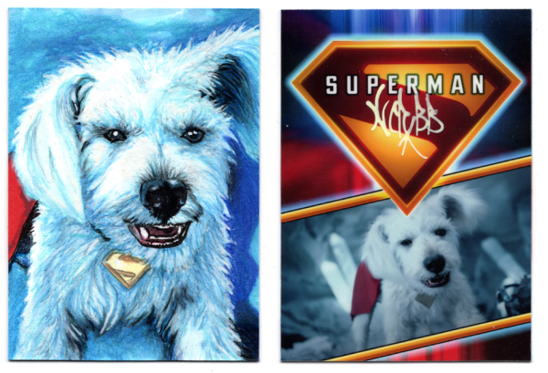 Image for Krypto Sketch Card from Superman Movie