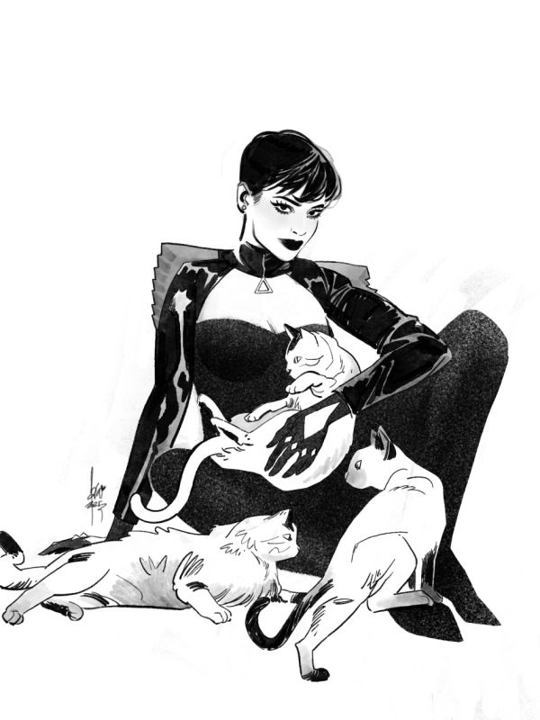 Image for Catwoman with Cats – A4 Original Commission by Fabiana Mascolo (2024)