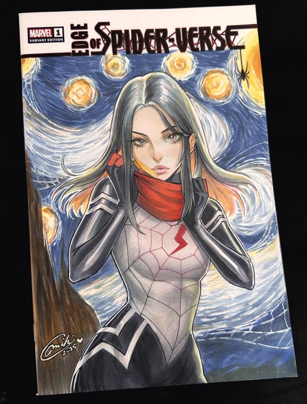 Image for Silk The Starry Night 