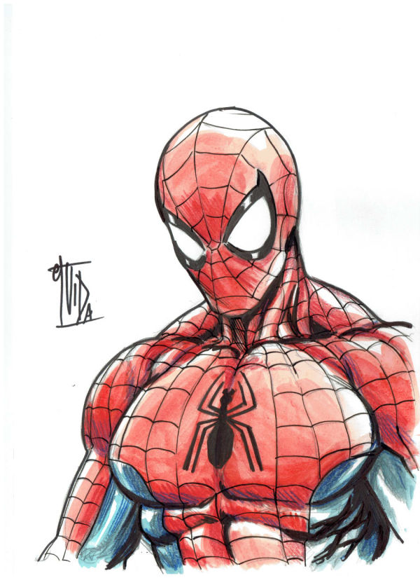 Image for Spider-Man Bust Sketch