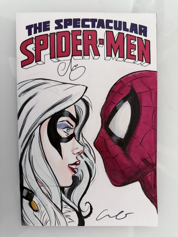 Image for Black Cat and Spider-Man Sketch Cover