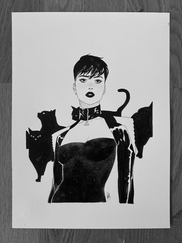 Image for Catwoman 2024 – A4 Original Illustration