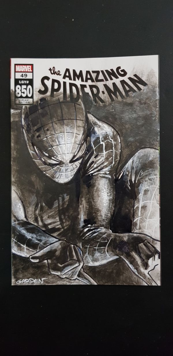 Image for Amazing Spider-Man Sketch Cover