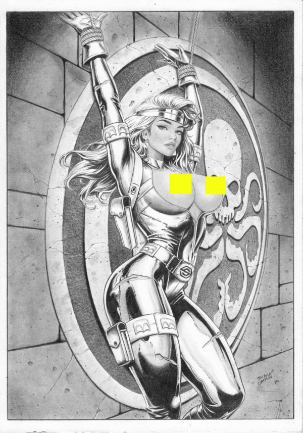 Image for Silver Sable and HYDRA