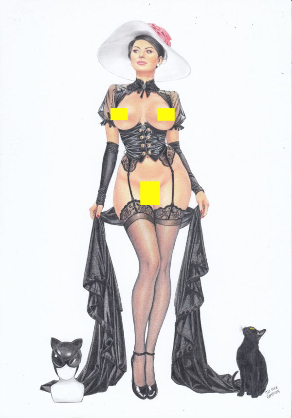 Image for Catwoman Batman