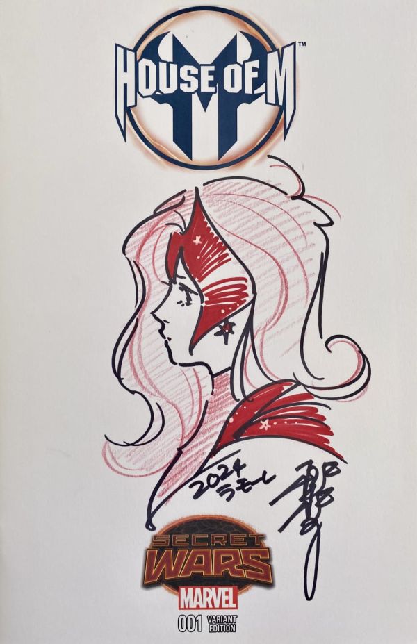 Image for Scarlet Witch Sketch on Secret Wars Variant