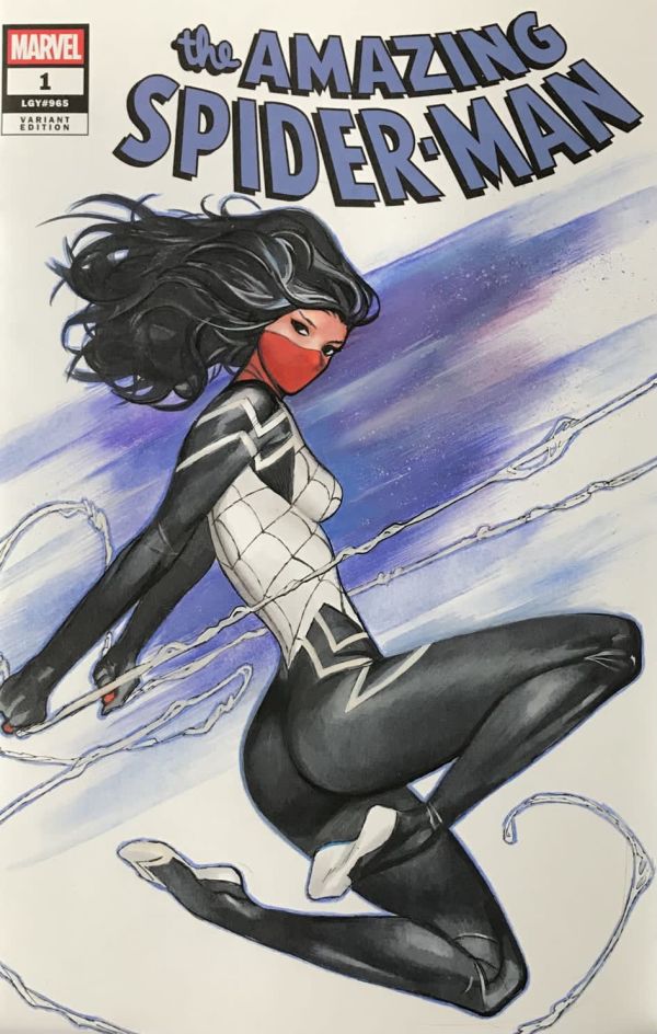 Image for Silk by Celal Koc
