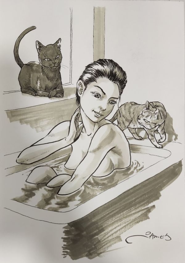 Image for Catwoman in the Bath by James Leong