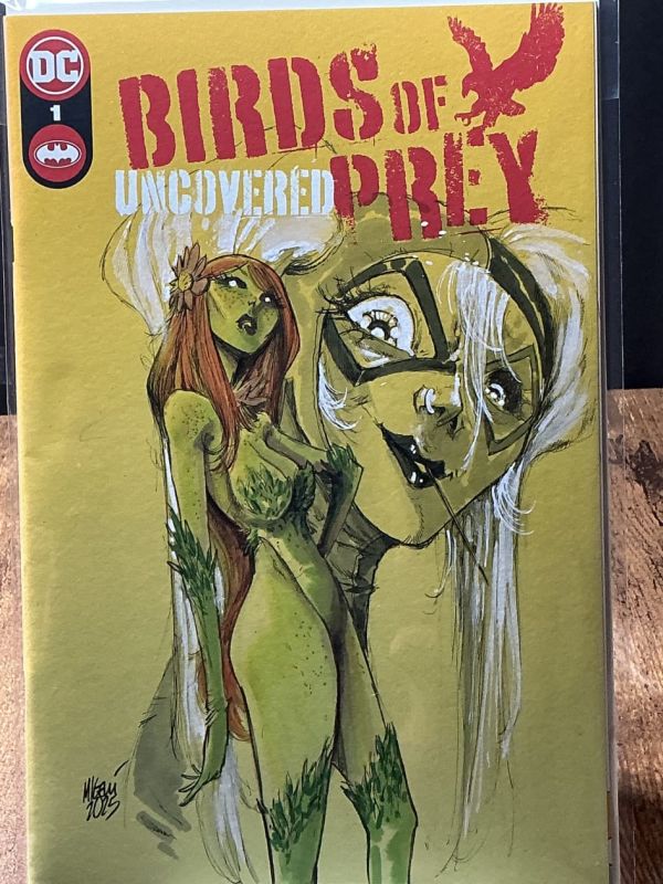 Image for Birds of Prey Sketch Cover