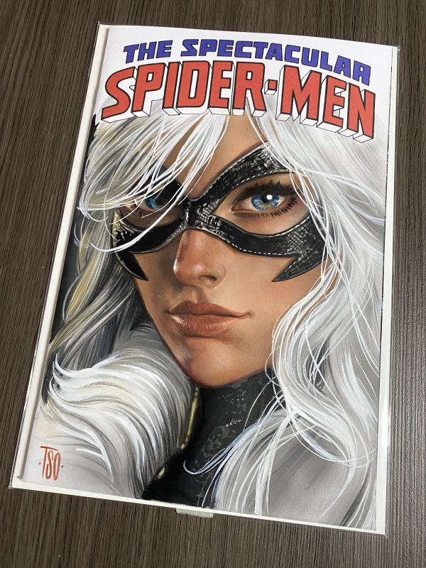 Image for Black Cat Blank Cover