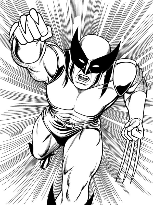 Image for 9X12 WOLVERINE Pin-Up