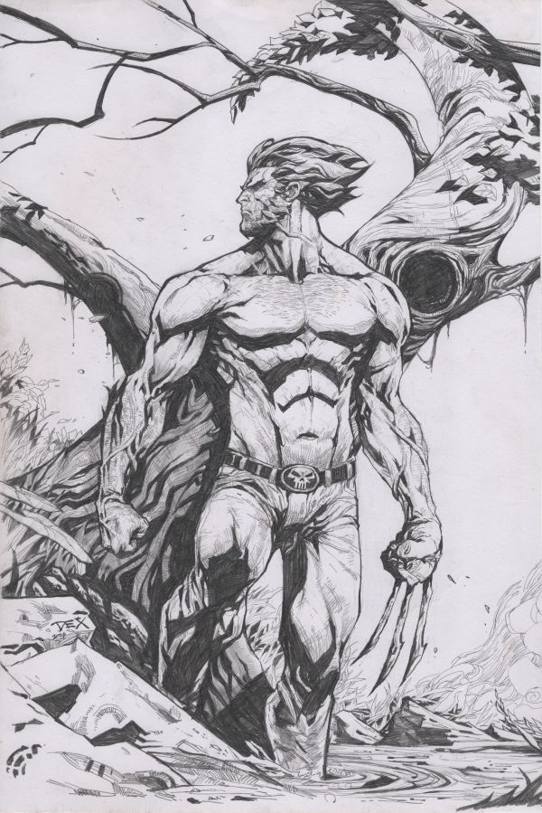 Image for Wolverine by Dexter Soy