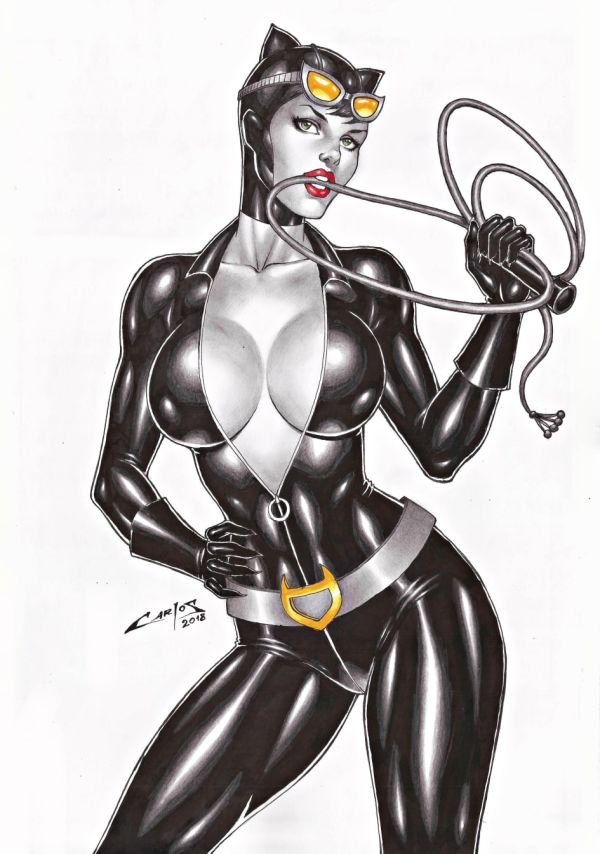 Image for Catwoman Pin Up by Carlos
