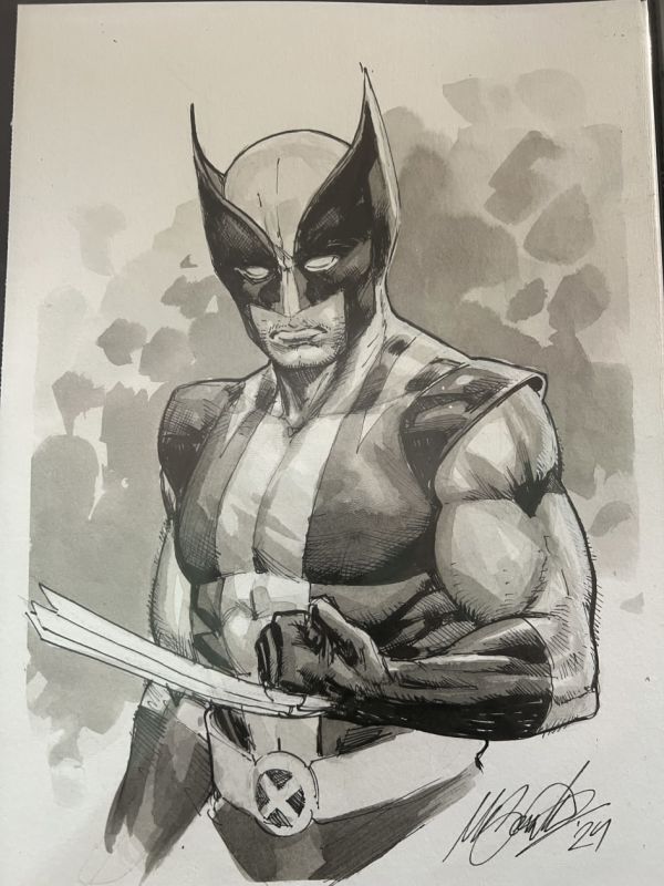 Image for Wolverine Sketch