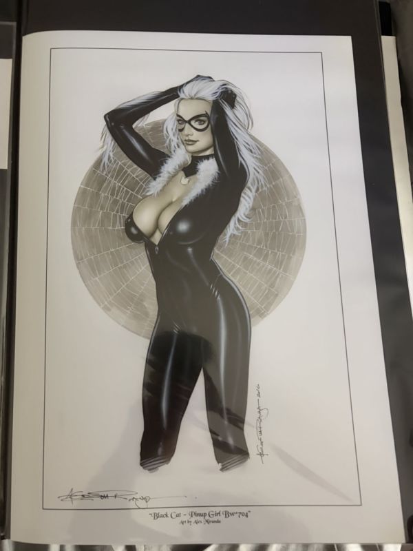Image for Black Cat Pin-Up Art