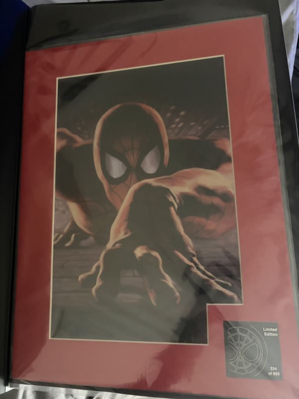 Image for Spider-Man Limited Edition Print