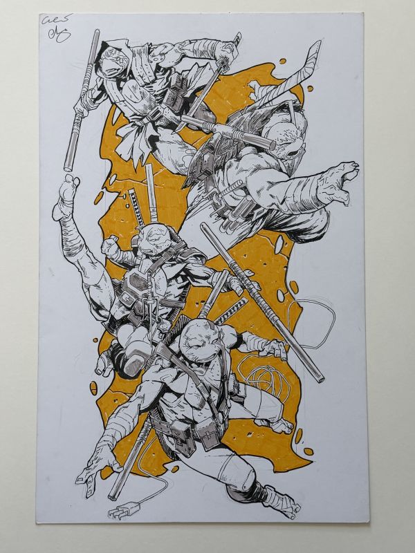 Image for Escorza Brothers illustration of Teenage Mutant Ninja Turtles 