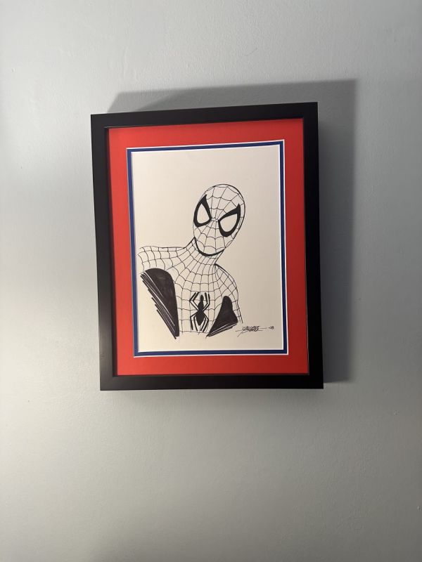 Image for Spider-Man Ink Illustration