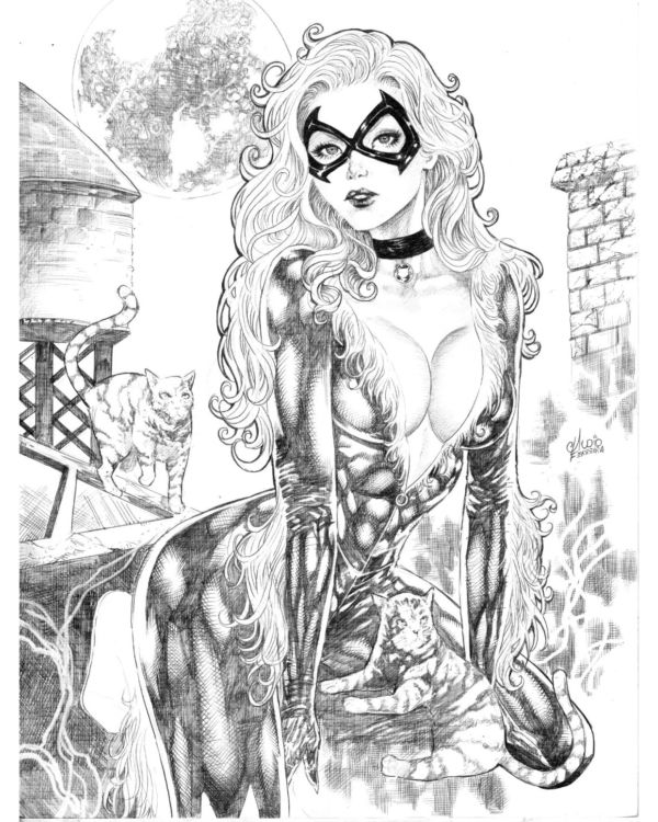 Image for 11x17 Catwoman Illustration by Claudio Ferreira