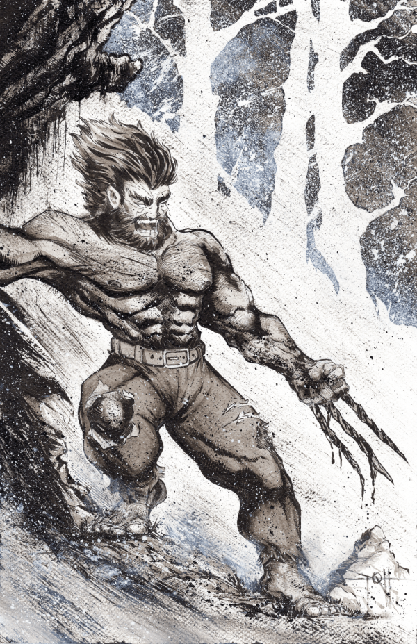 Image for Wolverine 11 x 17