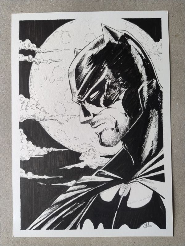 Image for Batman in the Moonlight