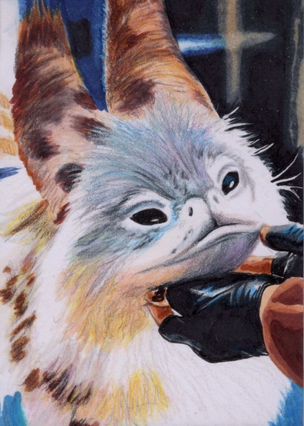 Image for Loth-Cat Star Wars Sketch Card