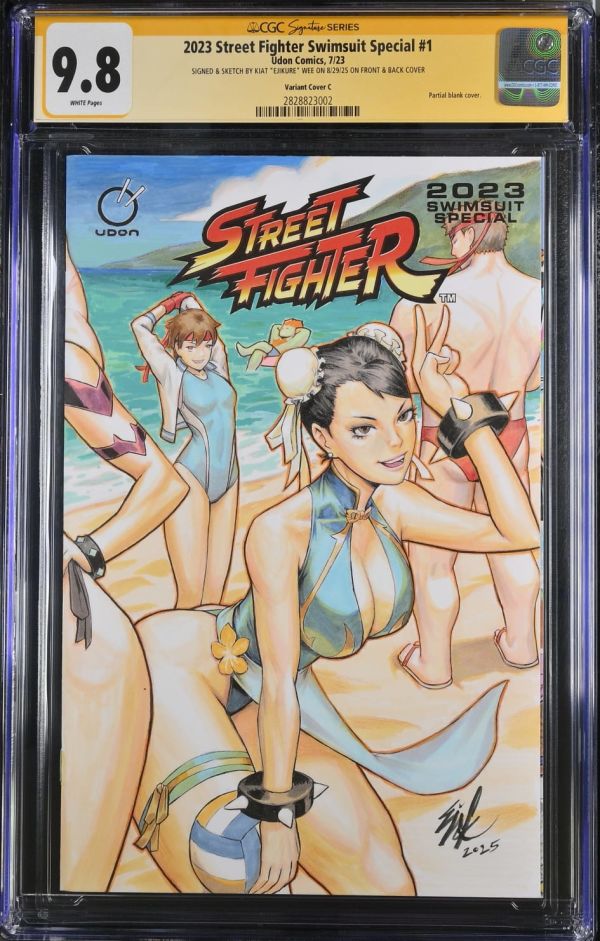 Image for Street Fighter Swimsuit Special #1 CGC 9.8