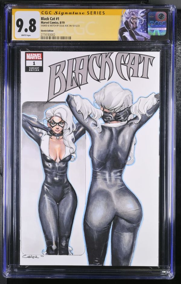 Image for Black Cat #1 Signed Sketch Cover