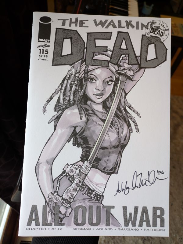Image for Most underrated character?! READ! The Walking Dead Michonne Sketch Cover by Ashley Witter