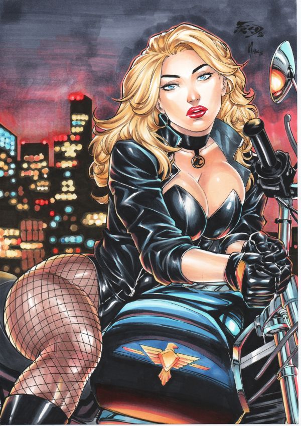 Image for Black Canary 9x12