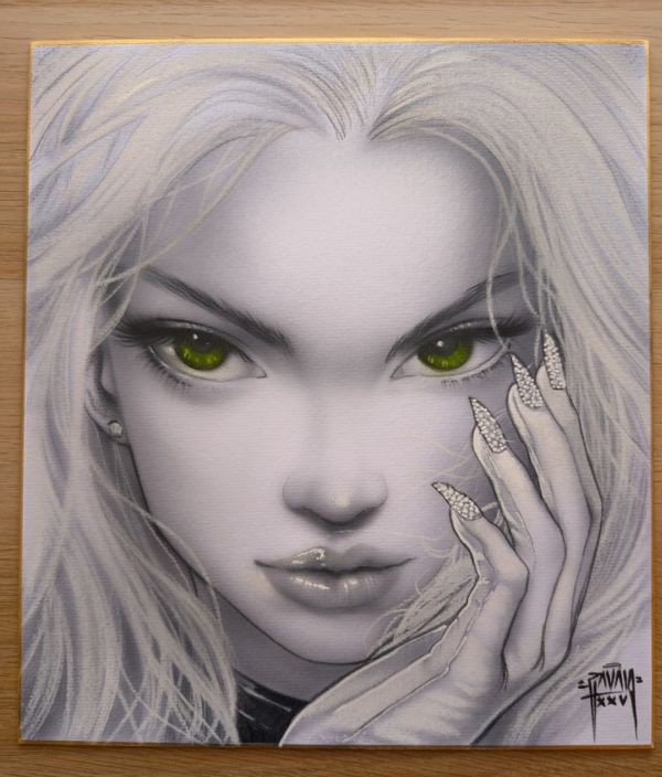 Image for Airbrushed Black Cat OA