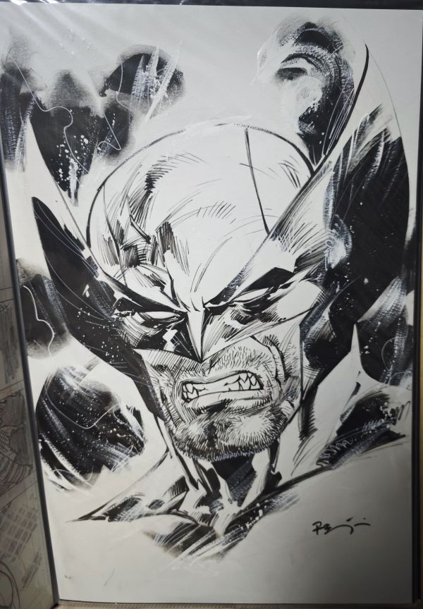 Image for Wolverine by Ryan Benjamin