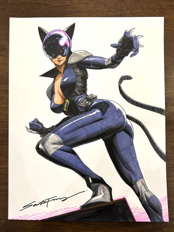 Image for Absolute Catwoman