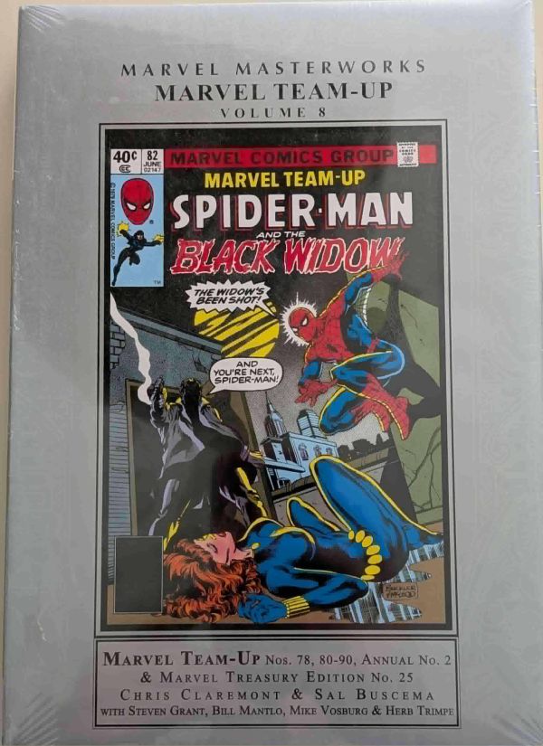 Image for MARVEL MASTERWORKS: MARVEL TEAM-UP V8 HC