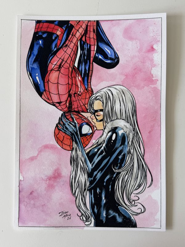Image for Black Cat and Spider-Man 9x12 Art