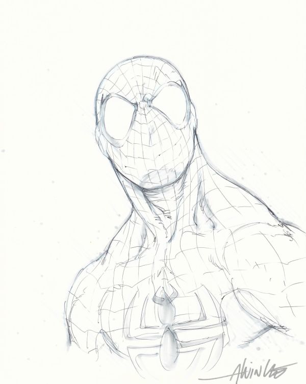 Image for Spider-Man Sketch by Alvin Lee