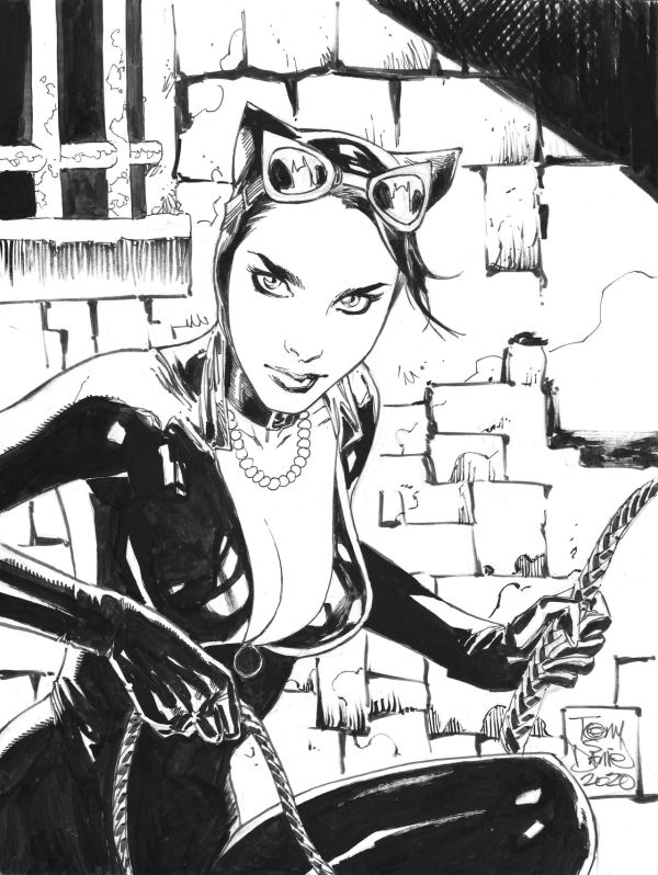 Image for Catwoman commission by Tony Daniel