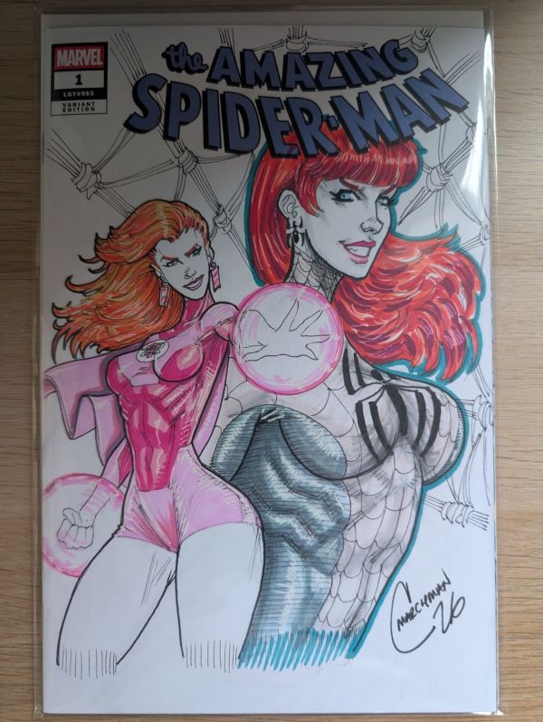 Image for Amazing Spider-Man Blank Cover with Mary Jane Watson and Atom Eve Art