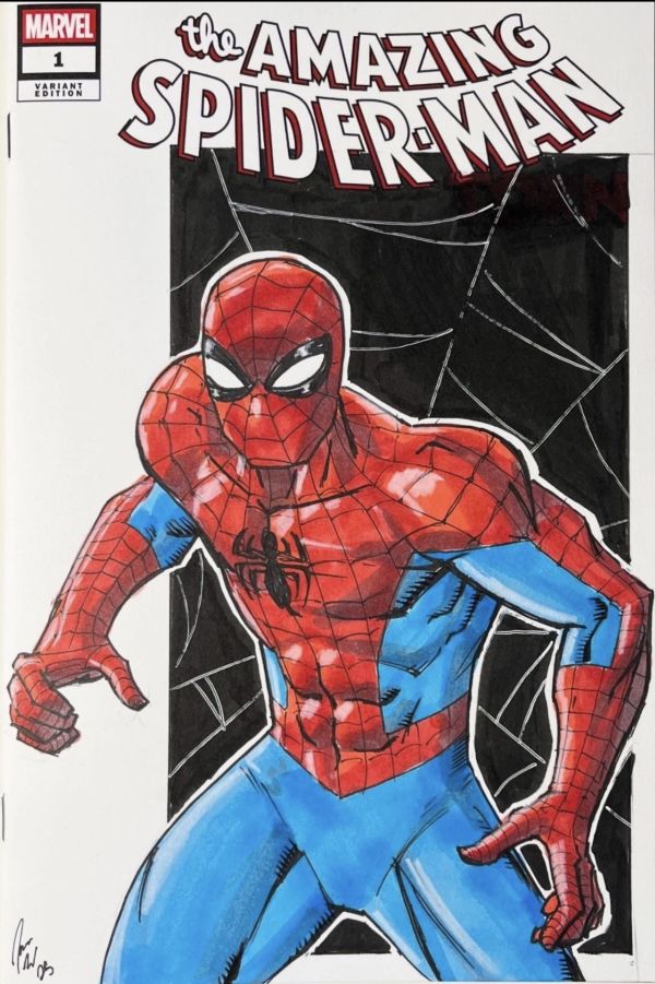 Image for The Amazing Spider-Man #1 Sketch Cover