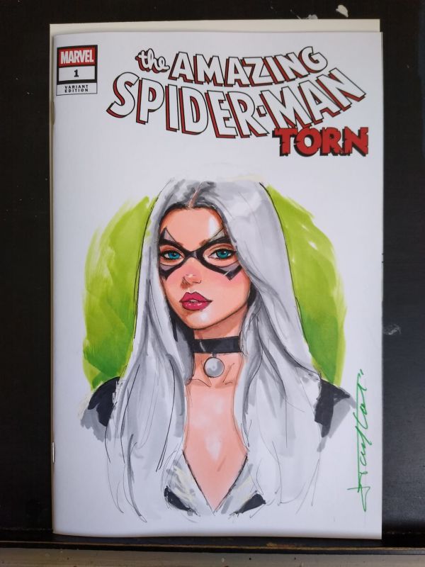 Image for Black Cat Sketch Cover by Jeff Taylor