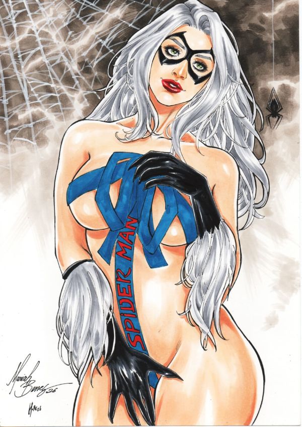 Image for Black Cat 9x12