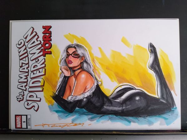 Image for Black Cat Sketch Cover by Jeff Taylor