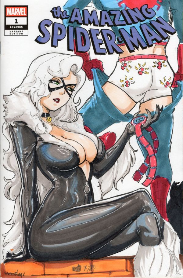 Image for The Amazing Spider-Man #1 Black Cat Sketch Cover