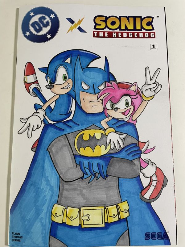 Image for DC x Sonic the Hedgehog Blank Cover by Jacob Wilcox