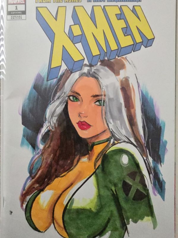 Image for Rogue by Jeff Taylor 