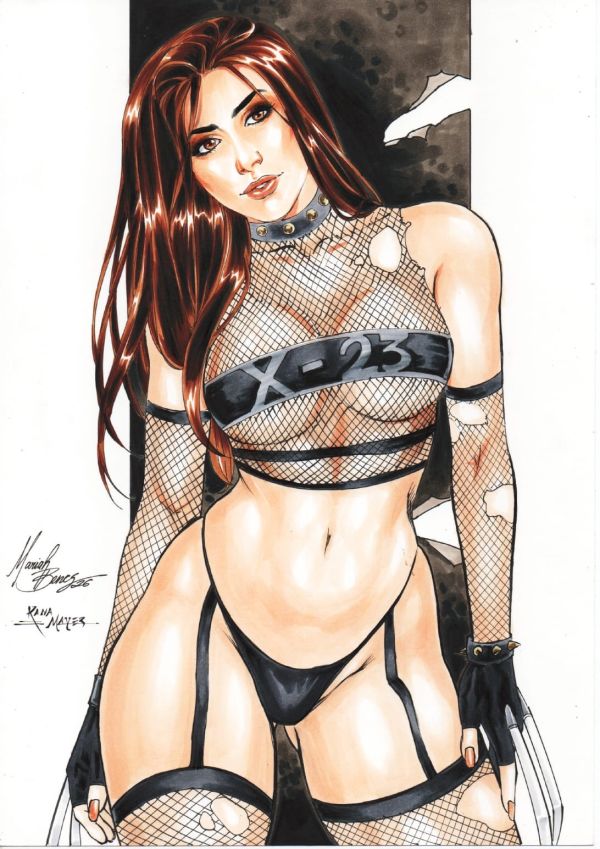 Image for 9x12 X-23