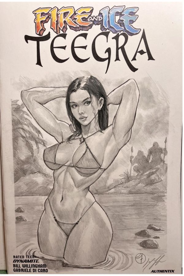 Image for Fire and Ice: Teegra Sketch Cover