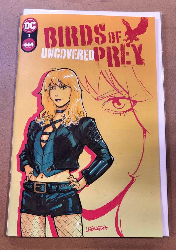 Image for Birds of Prey: Uncovered #1 blank variant