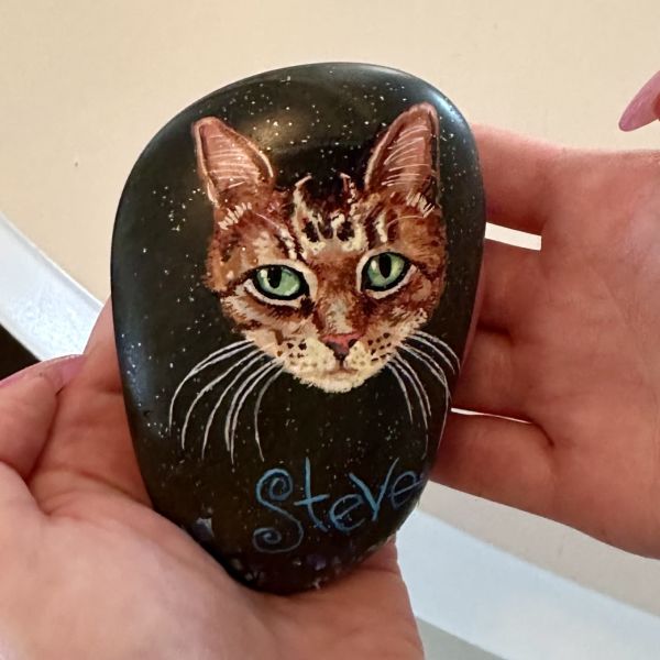 Image for Steve the Cat Rock Art by Greg Horn