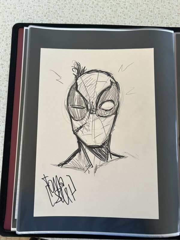 Image for Spider-Man Sketch by Francesco Tomaselli